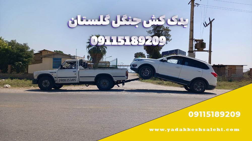 بهترین مسیرهای جادهای ایران به مقصد جنگل گلستان 1 yadakkesh1151